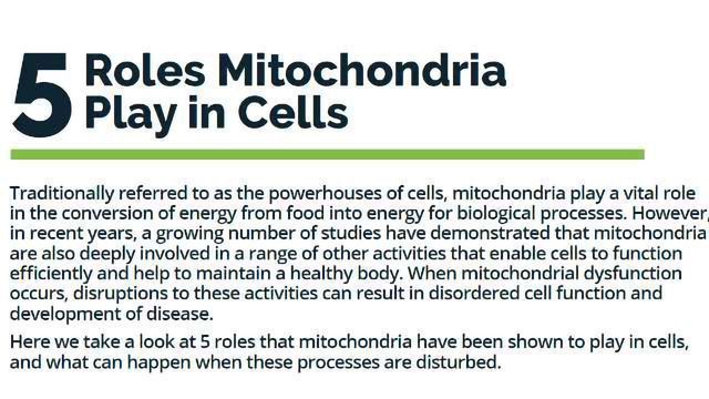 5 Roles Mitochondria Play in Cells content piece image 