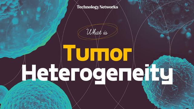 Tumor Heterogeneity 