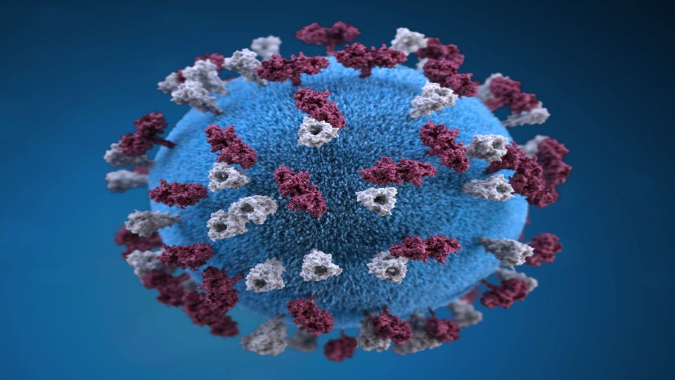 Measle virus particle.