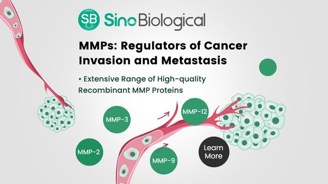 MMPs, Architects of Tumor Microenvironment 