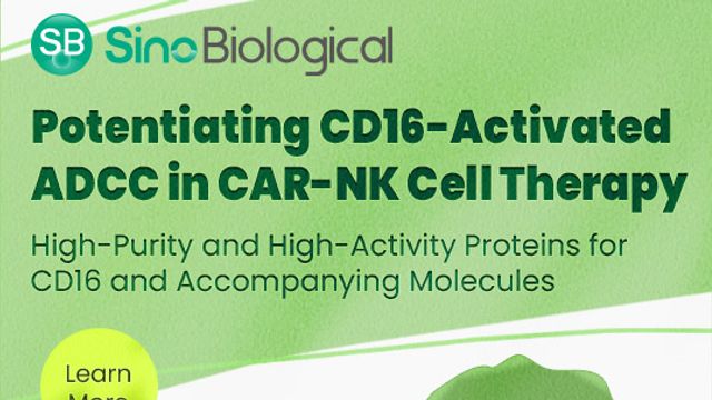 Potentiating CD16-Activated ADCC in CAR-NK Cell Therapy content piece image 