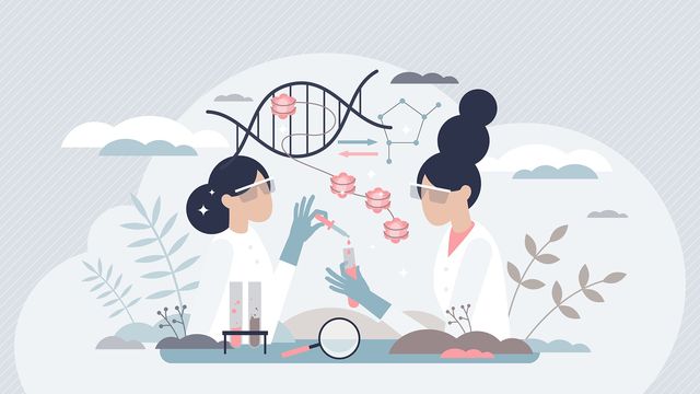 Biological insights into genetics 