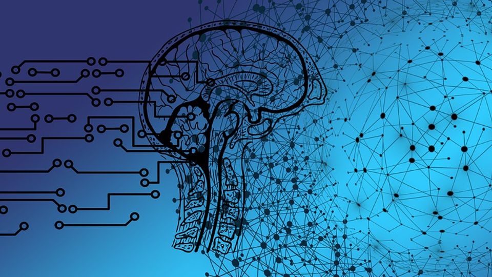 Human brain and AI networks.
