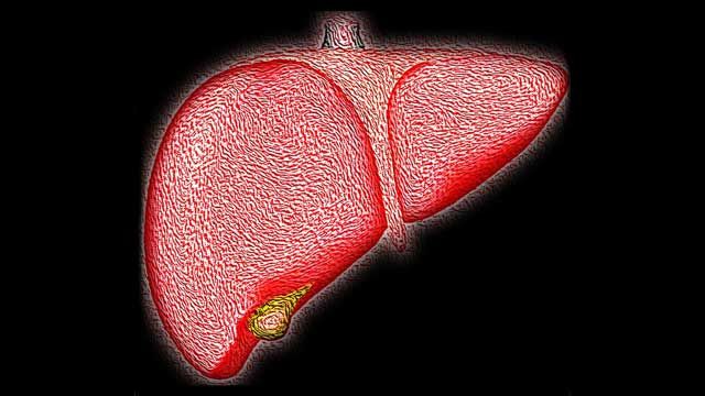 A graphic of a liver. 