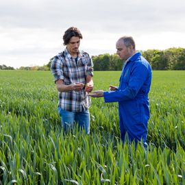 Two men stand in a field of crops 