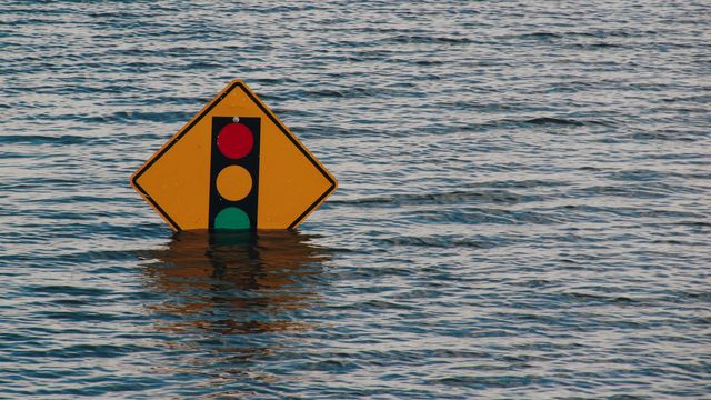 A traffic sign surrounded by water. 